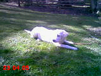 Luna23.04.05
